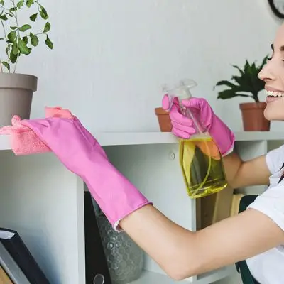 Domestic Cleaning Services